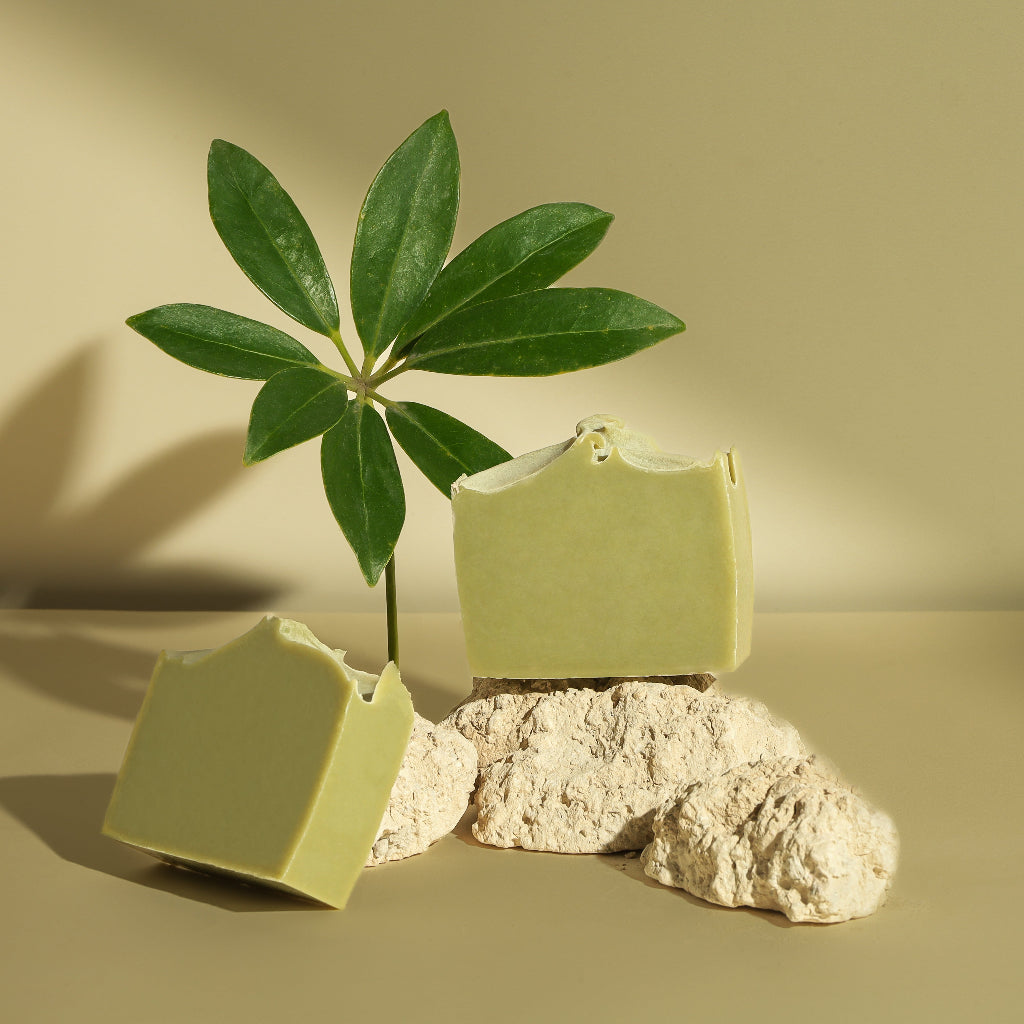Natural green soap bars on stone with a leafy plant, minimalist skincare product display