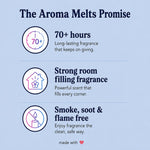 Load image into Gallery viewer, Vanilla Bourbon Aroma Melts